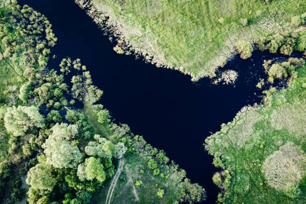 istock Lake in the meadows 1278023940