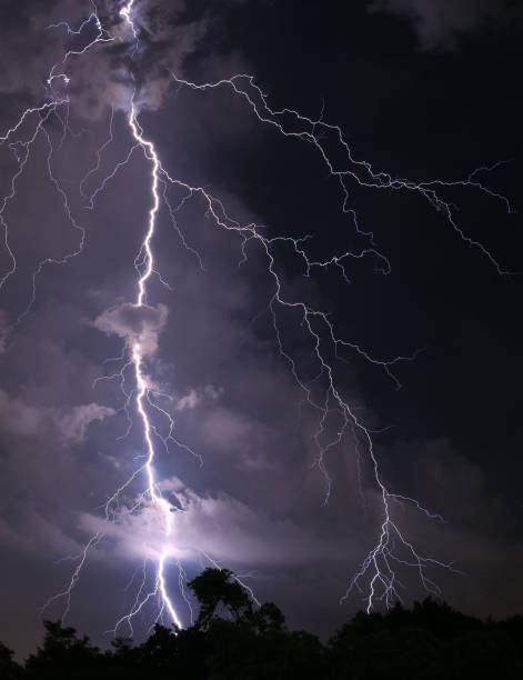 imagem vertical de assustador relâmpago real atingindo sobre a floresta à noite - thunderstorm lightning storm monsoon - fotografias e filmes do acervo