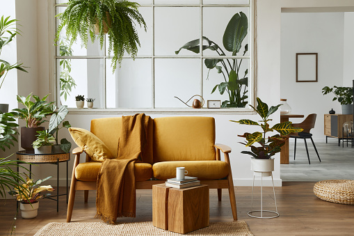 Diseño interior de espacio abierto escandinavo con sofá de terciopelo amarillo, plantas, muebles, libro, cubo de madera y accesorios personales en elegante puesta en escena del hogar. Plantilla. photo