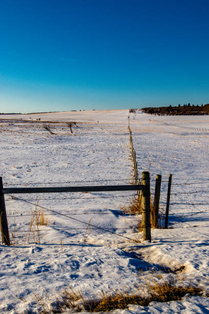 istock Fence line in a snowy field. Springbank, Alberta, Canada 1278041766