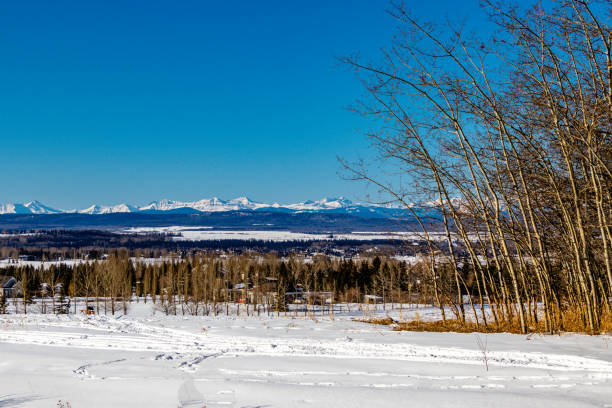 istock Snowy field and tree line. Springbank, Alberta, Canada 1278043755