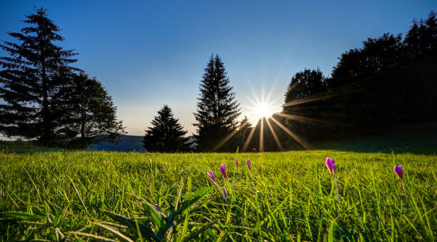 istock HDR panorama with sunset during autumn. 1278049960