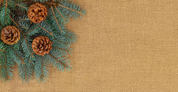 istock New Year composition on burlap. Christmas tree branches and cones. 1278052800
