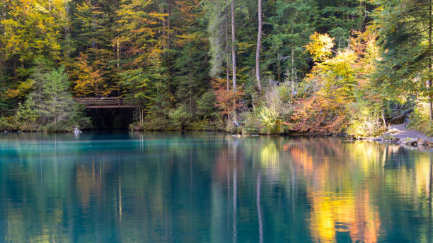 istock Nature park Blausee or blue lake in Kandersteg 1278063393