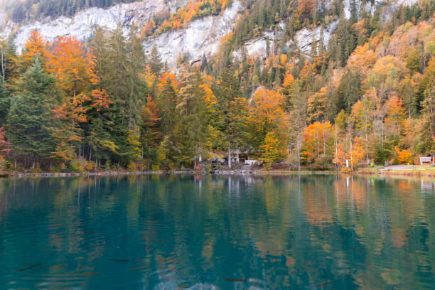 istock Blausee or blue lake in Kandersteg, Switzerland 1278063855