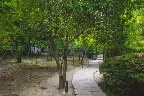 istock Path between trees in garden in Shenyuan (Shen Garden) scenic area, Shaoxing, China 1278069262