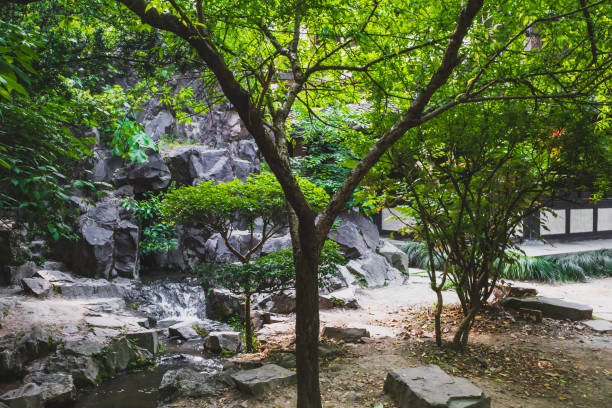 istock Rocks and trees in Shenyuan (Shen Garden) scenic area, Shaoxing, China 1278069270