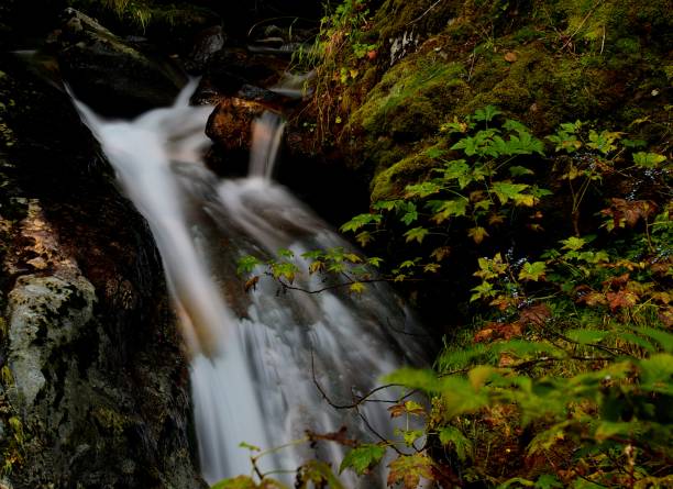 istock Autumn in the North Cascades 1278070838