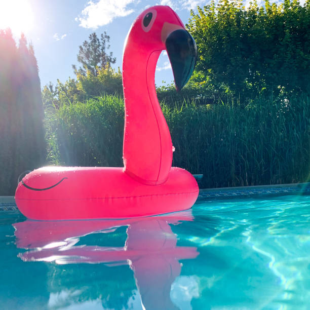 istock Inflatable pink flamingo afloat in pool 1278070884
