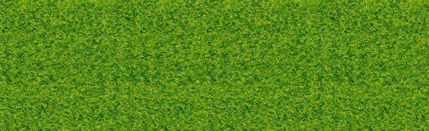 ilustraciones, imágenes clip art, dibujos animados e iconos de stock de campo de fútbol clásico realista con revestimiento verde bicolor - grass