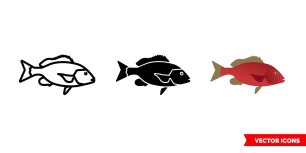 rote schnapper fisch-symbol von 3 arten farbe, schwarz und weiß, umriss. isoliertes vektorzeichensymbol - black bass stock-grafiken, -clipart, -cartoons und -symbole