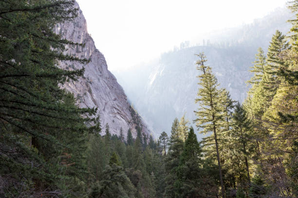 Late afternoon autumn light in mountains of Yosemite National Park