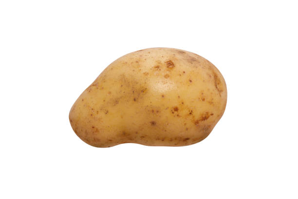 istock raw potato isolated on white background 1278082234