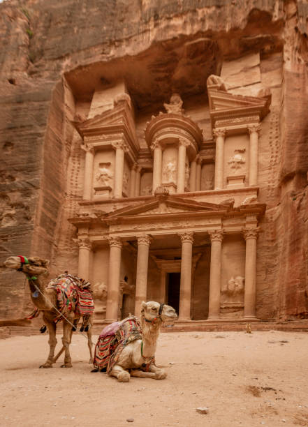 istock Camels at The Treasury at Petra Ruins 1278088849
