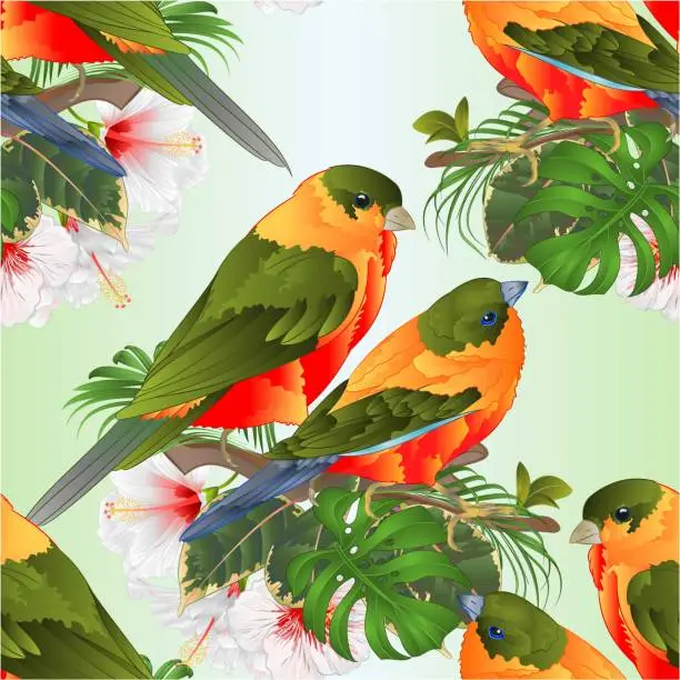 Vector illustration of Seamless texture tropical birds cute small  funny  birds and white hibiscus watercolor style on a white background vintage vector illustration editable