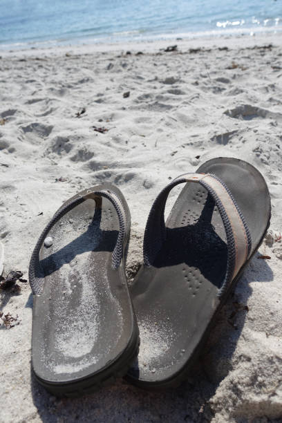 istock Sandy beach  Flip-flops  A single person   Seaside holidays   Coastline 1278092789