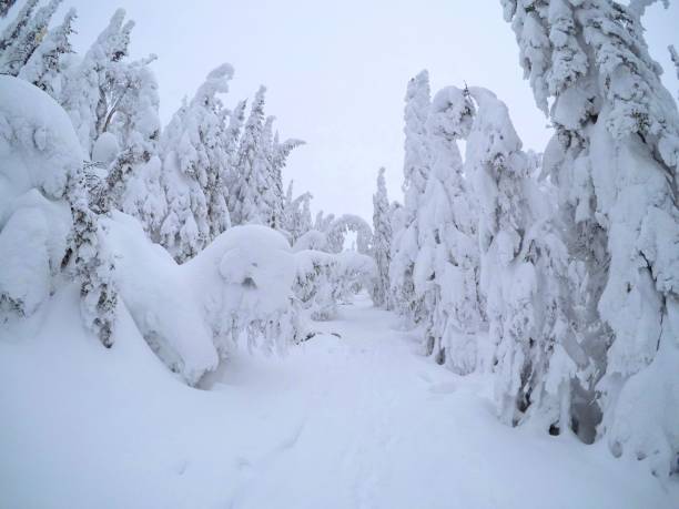 istock The world of Narnia 1278099186