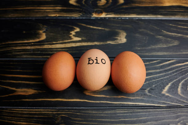 istock organic eggs with the German letters BIO stamped on an egg 1278111724