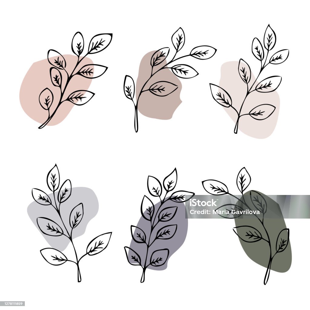 Bộ Lá Trang Trí Với Hình Dạng Màu Sắc Hình Minh Họa Vector Vẽ Tay ...