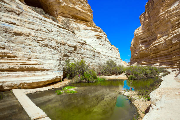 istock The Qing River in the Negev desert 1278112437