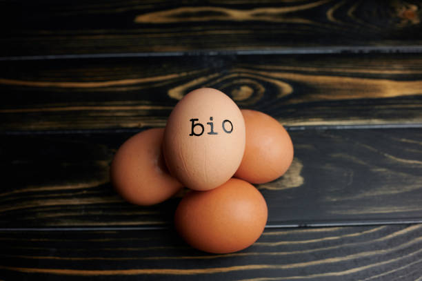 istock organic eggs with the German letters BIO stamped on an egg 1278114245