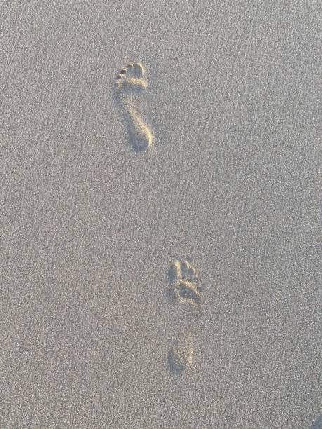 Footprints in the sand stock photo