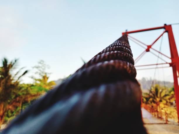 This picture was taken from the Angle of the drawbridge rope