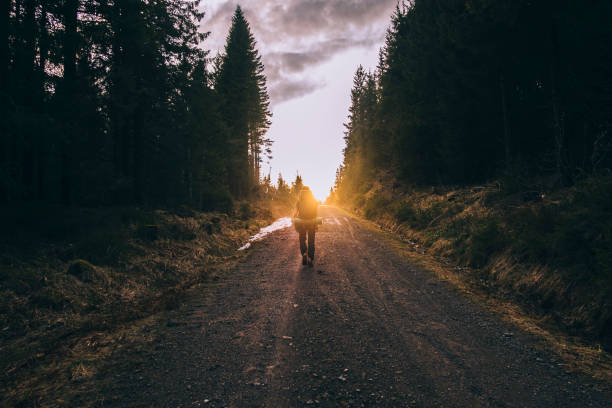Aerial view, taken by drone, of a man wearing a red jacket walking alone in the middle of a rural country road, surrounded by a lush green forest. Room for copy space.