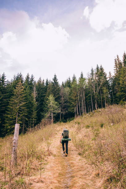 Hiker walking up a steep footpath to the forest. Wearing a backpack. Hiking in Nordmarka, Oslo, Norway