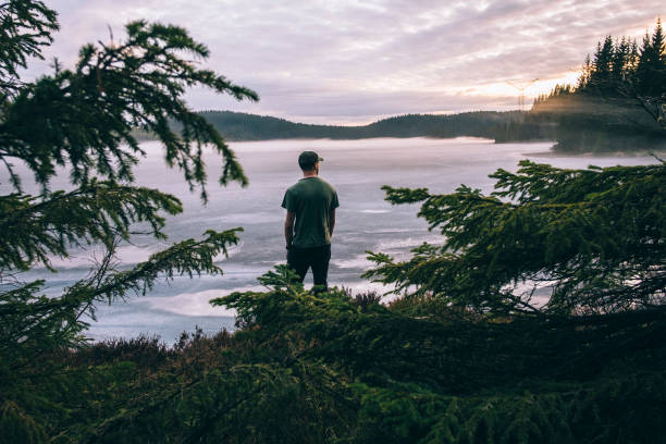 istock Hiker looking at the view over a lake in sunset. 1278125296