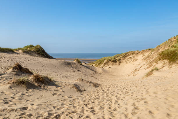 istock Formby Beach and Sand Dunes 1278126289