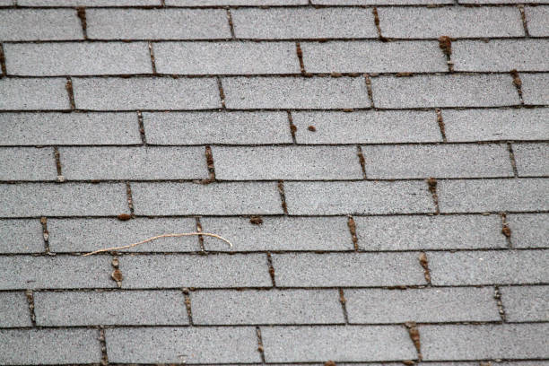 istock Close up of gray shingles for background 1278129697