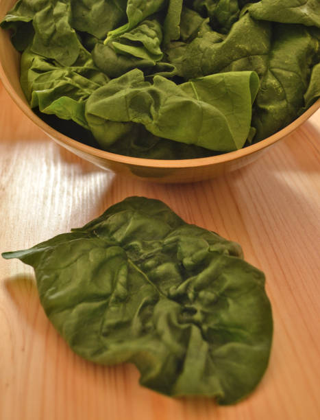 Fresh large spinach leafs in a wooden bowl stock photo