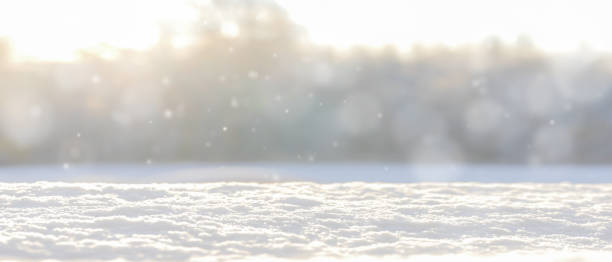 istock Christmas winter blurred background with snow.Banner for winter projects. 1278138531