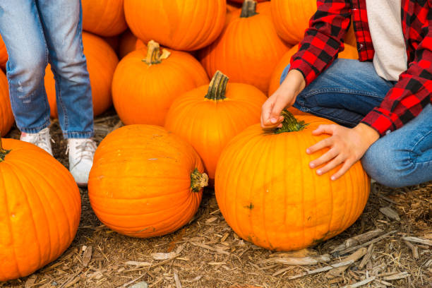 istock Kids choosing pumpkins on a farm 1278140963