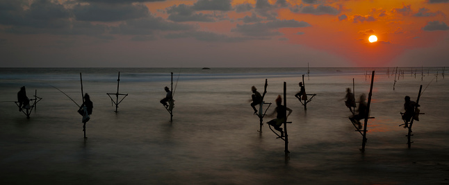 Galle, Sri Lanka - 2019-04-01 - Stilt Fishermen of Sri Lanka Spend All Day on Small Platforms to Catch Fish for Dinner.
