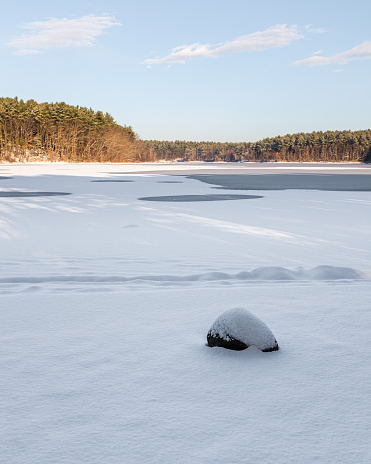 By the river and trees in the snow and ice