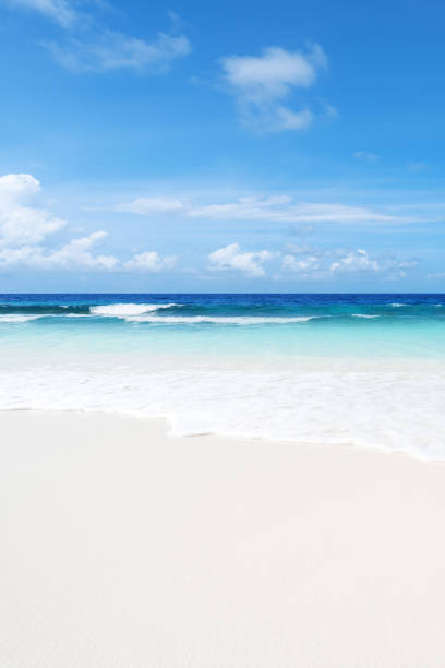 istock Perfect paradise beach with turquoise sea and clear sky 1278171419