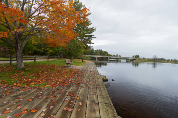 istock Autumn In The Upper Peninsula 1278177541