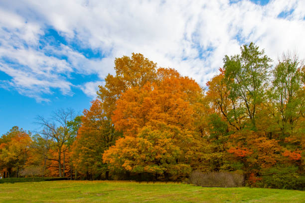 istock Fall Colors-Trees -Howard County Indiana 1278177825