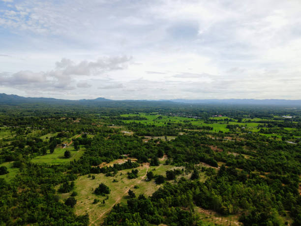 istock Forestry with declining volumes High angle shot From drones 1278179186