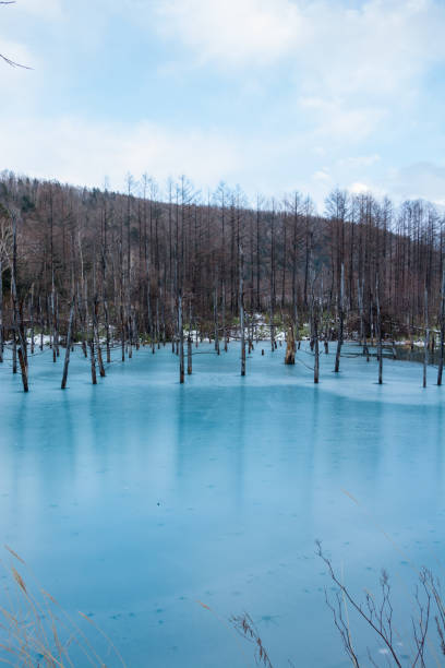 istock The surface of the blue pond in winter 1278180092