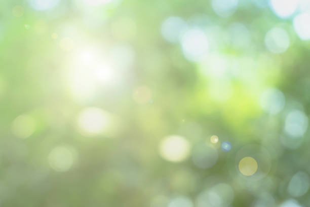 istock Natural spring blurred green leaves background. Create light soft blurred colors in bright sunshine. Green bokeh abstract glitter light background. Focus texture from nature forest fresh shiny growth. 1278181568