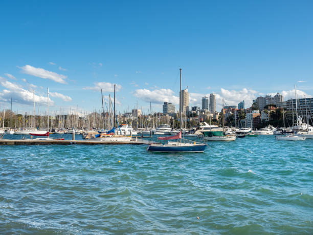 rushcutters bay waters, vessels und darling point suburb hintergrund unscharf - rushcutters bay stock-fotos und bilder