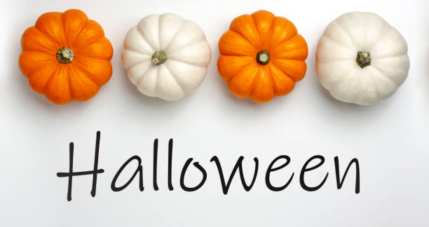 istock Flat lay of mini decorative pumpkin 1278194014