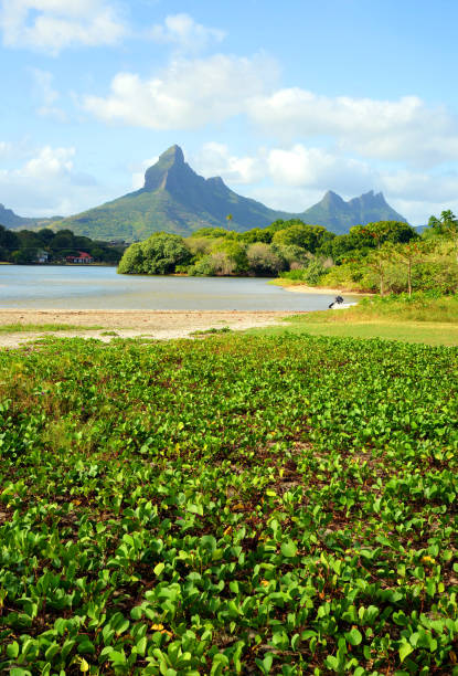 Beautiful landscape in Mauritius island. View from Tamarin Bay on Rempart mountain.