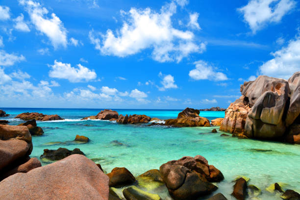 istock Anse Cocos beach, La Digue Island, Indian Ocean, Seychelles. 1278195300