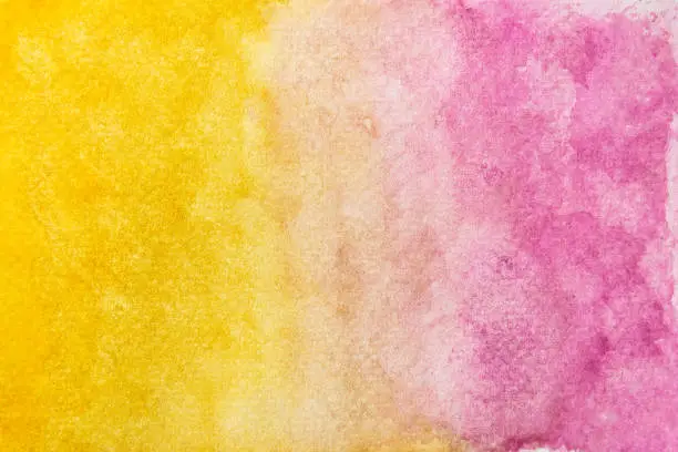 Two tone watercolor painting on paper wallpaper. Hand painted yellow and pink watercolor background.