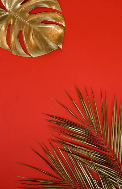 istock Gold palm monstera leaves frame isolated on a red background. top view. copy space. abstract. 1278202822