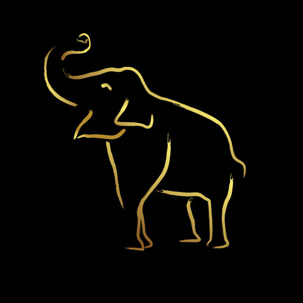 Elephant with golden border elements Elephant with golden border elements. illustration isolated on black background elephant drawings stock illustrations